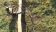 Screenshot_20250611_144732_Facebook